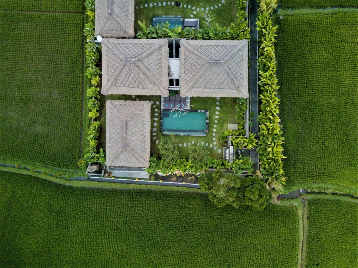 Three Gold Luxury Private Villas Ubud Eksteriør billede